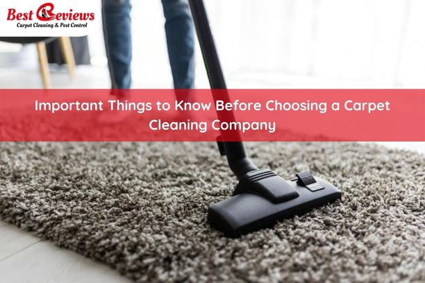 Important Things to Know Before Choosing a Carpet Cleaning Company