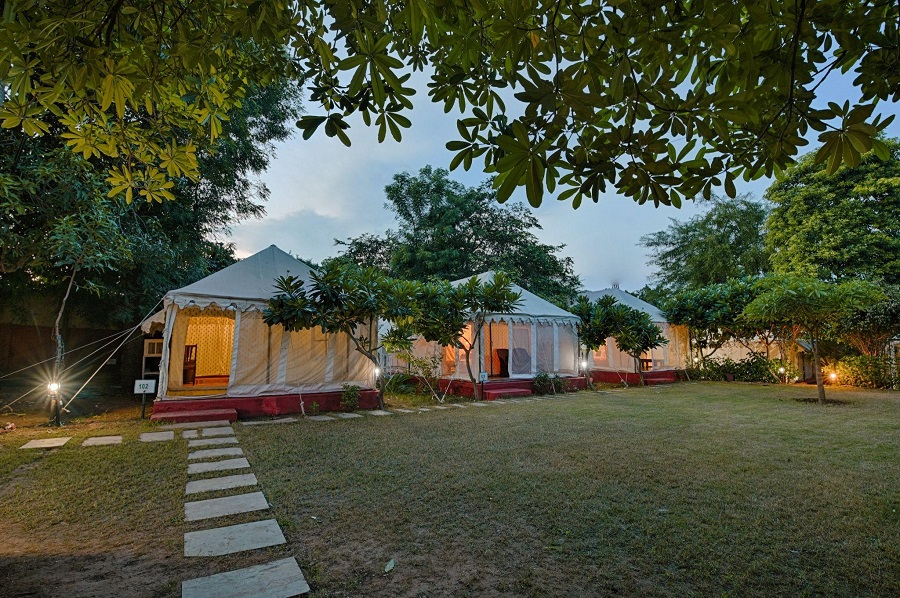 luxury glamping experiences in Ranthambore Tiger Resort